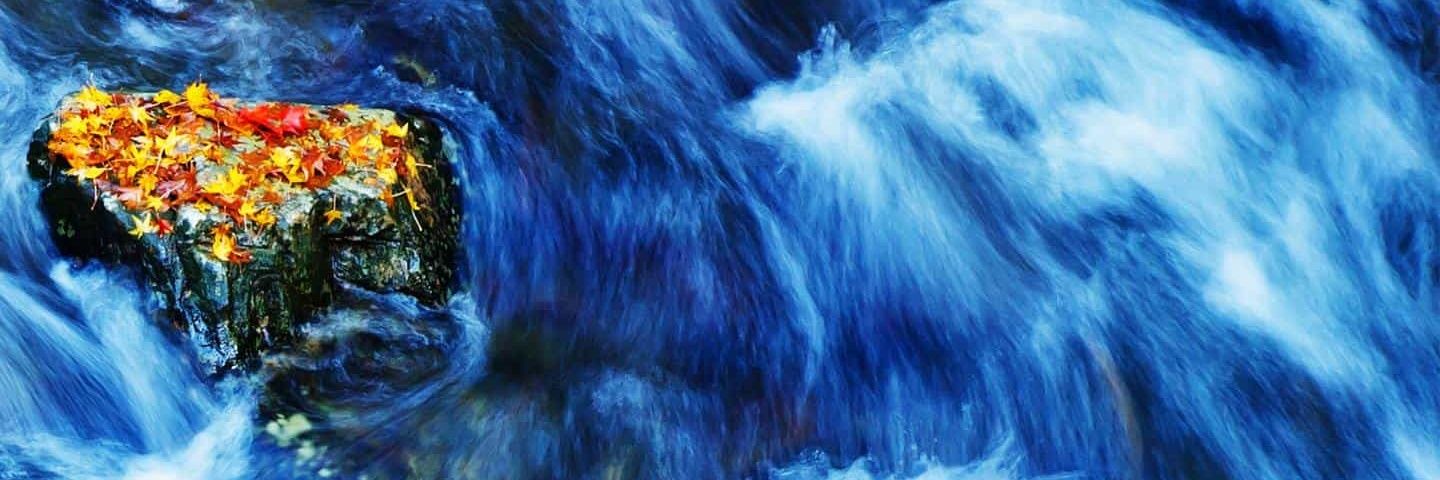 Andy1Pico's profile banner image
