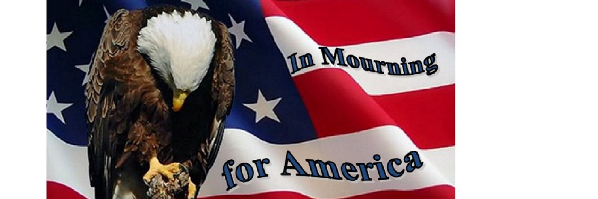 newswatcher2's profile banner image