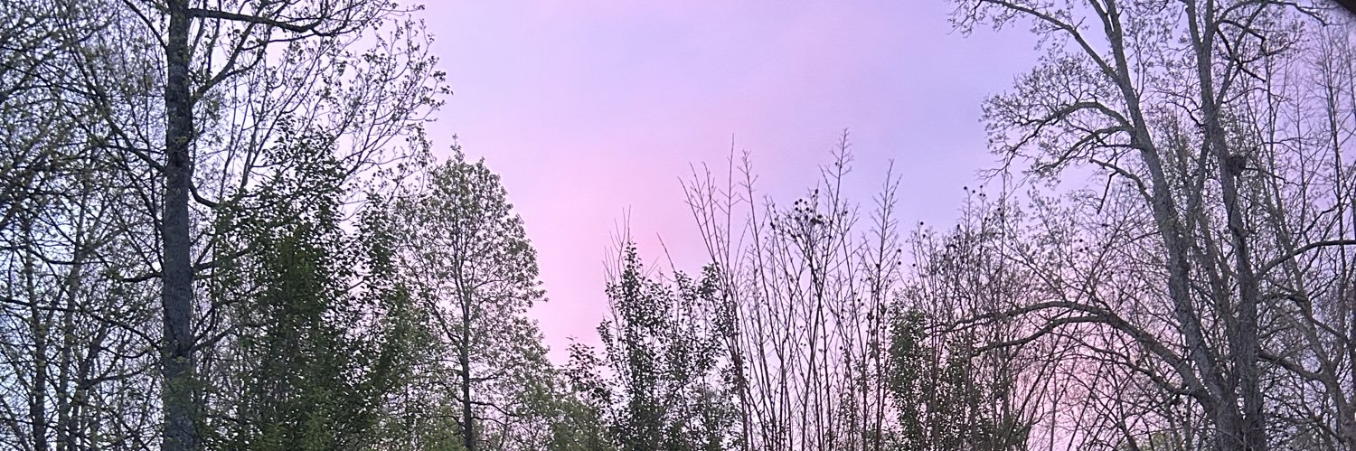 daphne06's profile banner image