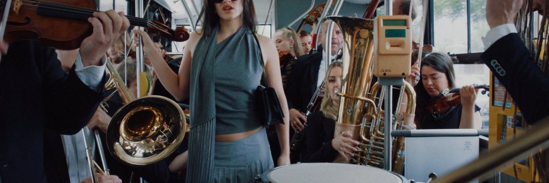 lisasoloist's profile banner image