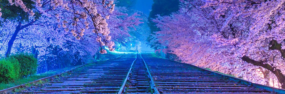 prismrhythm29's profile banner image