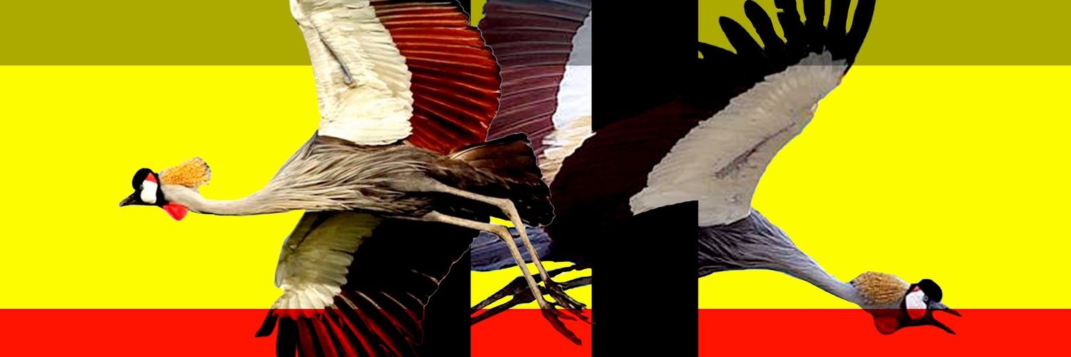 EmmanuelIga's profile banner image