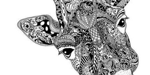 EleonorJay's profile banner image