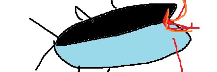 ツナ banner