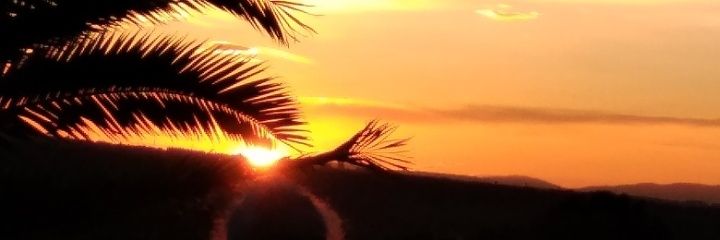 rasapoc's profile banner image