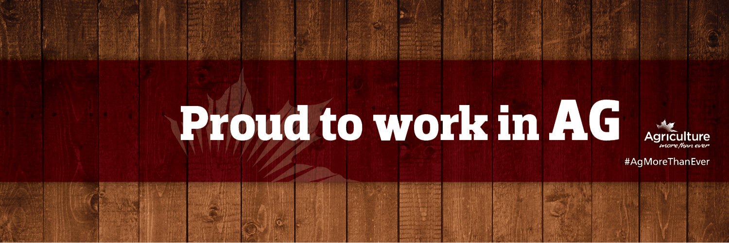 Rachel Faust banner
