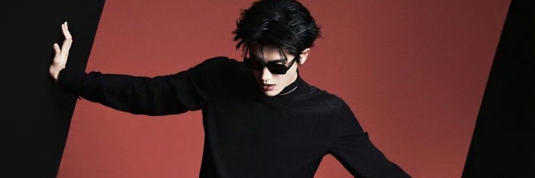 ZhangLingHeStan's profile banner image