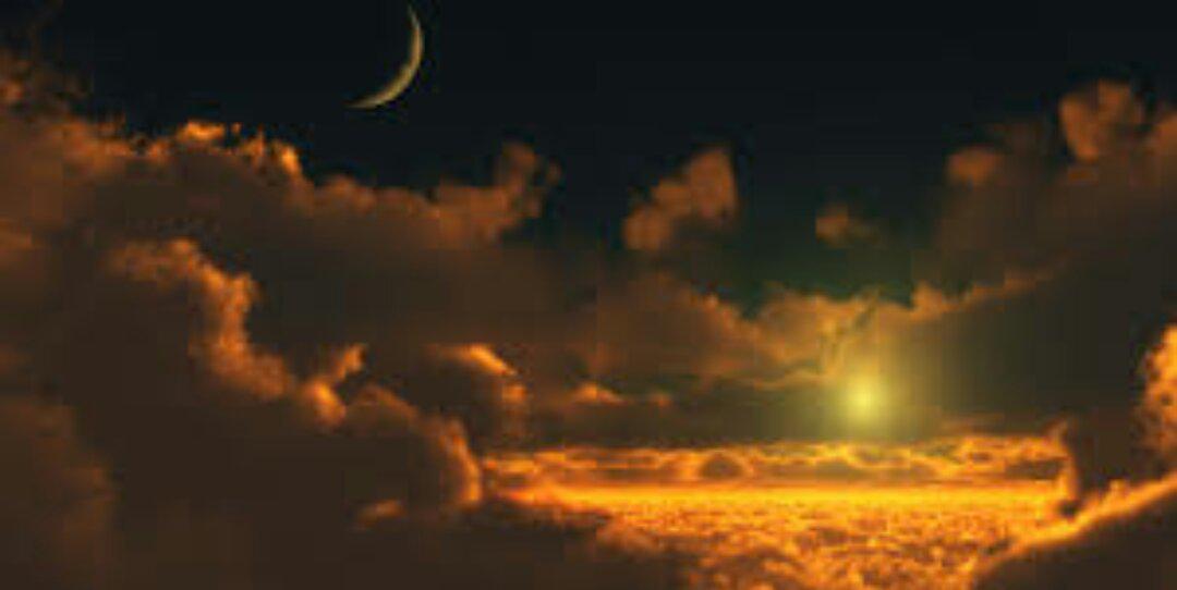 Daily Musings banner