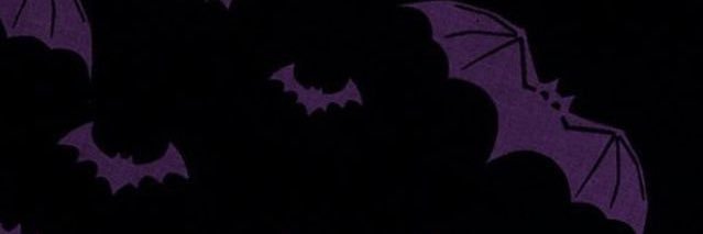 team spirit fangirl banner