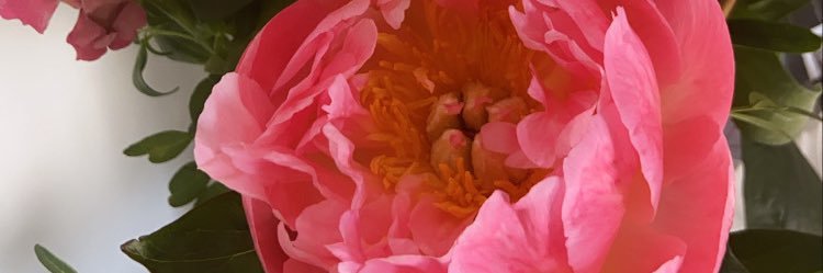 caffdietitian's profile banner image
