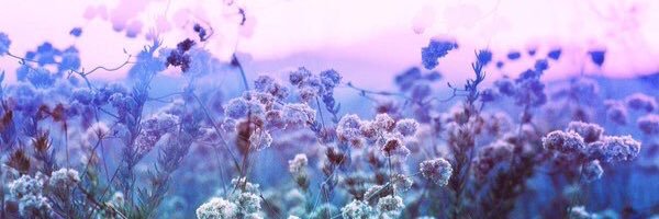 Amgad87643's profile banner image