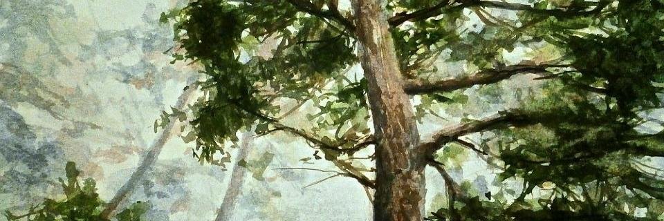 clldbs's profile banner image