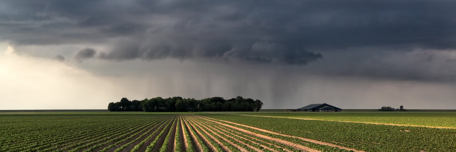 Weather Impact banner