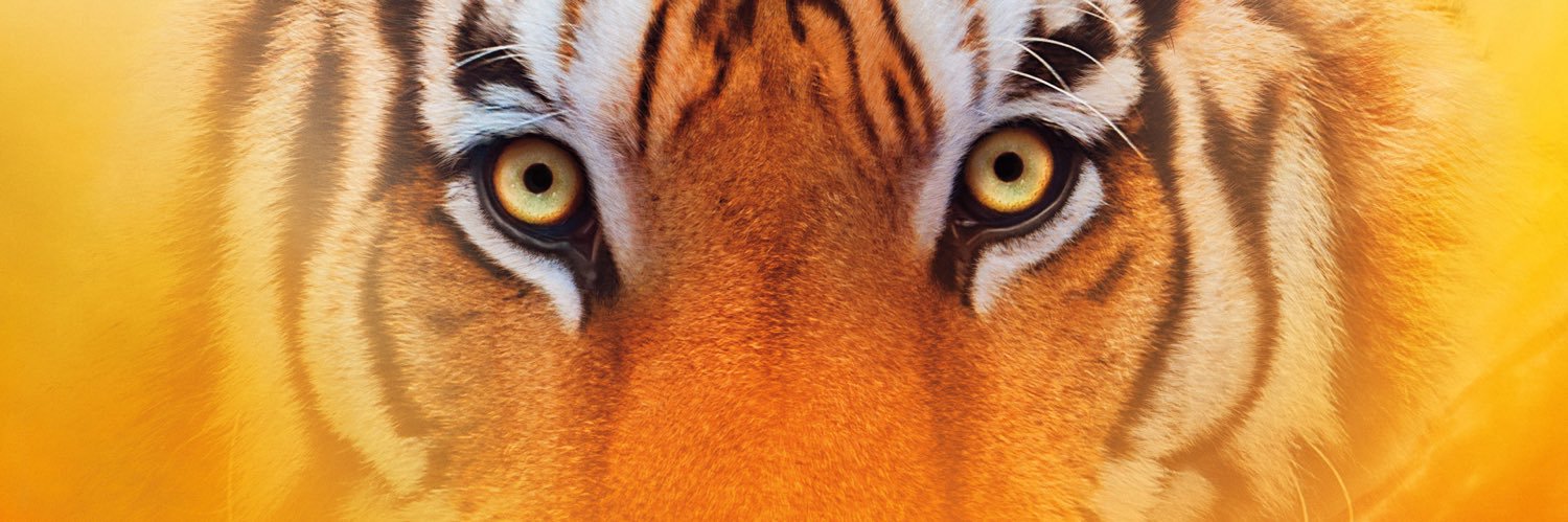 RicharddParkerr's profile banner image