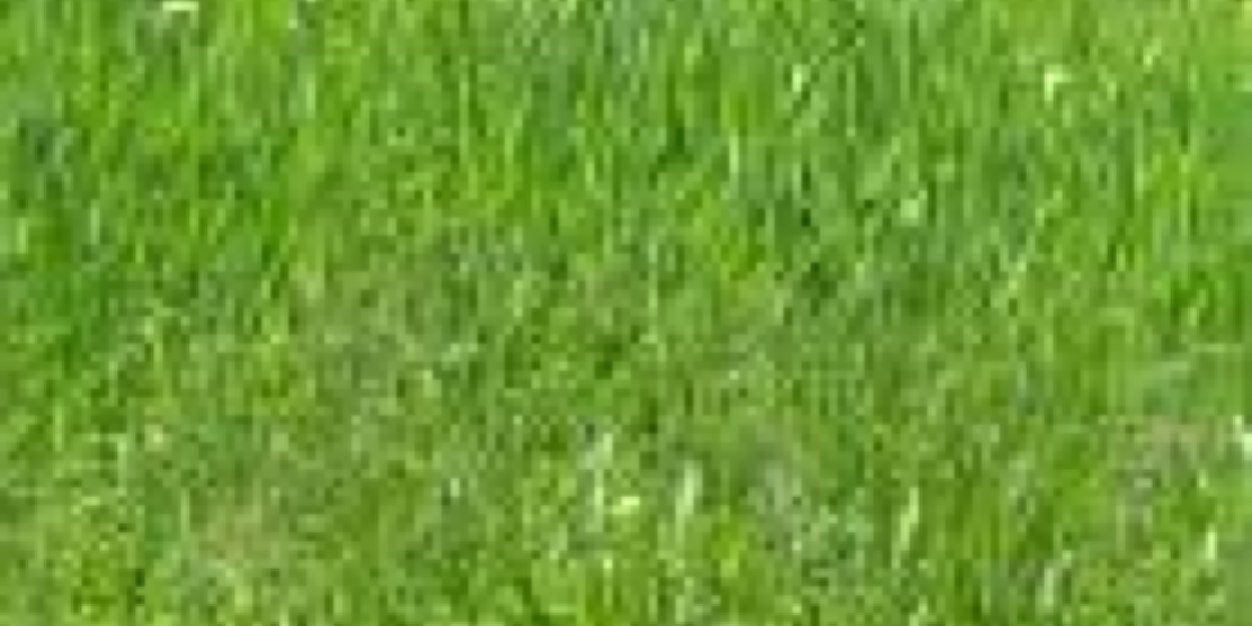 Applefieldhomes's profile banner image