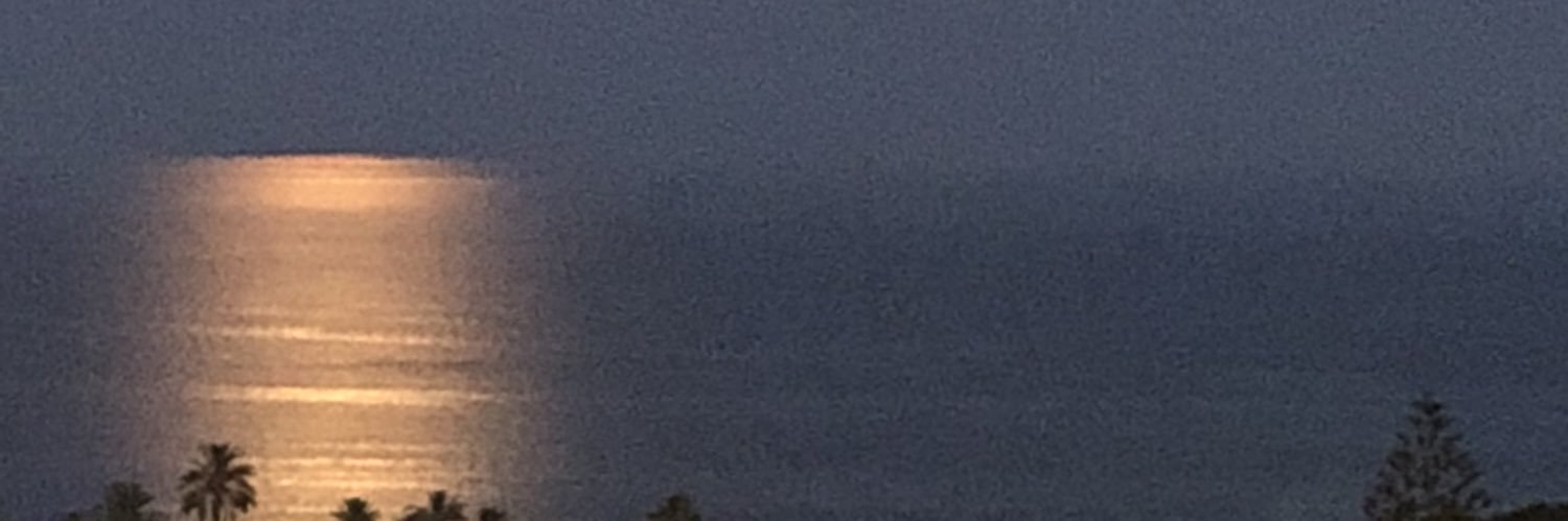 PabloMMariscal's profile banner image