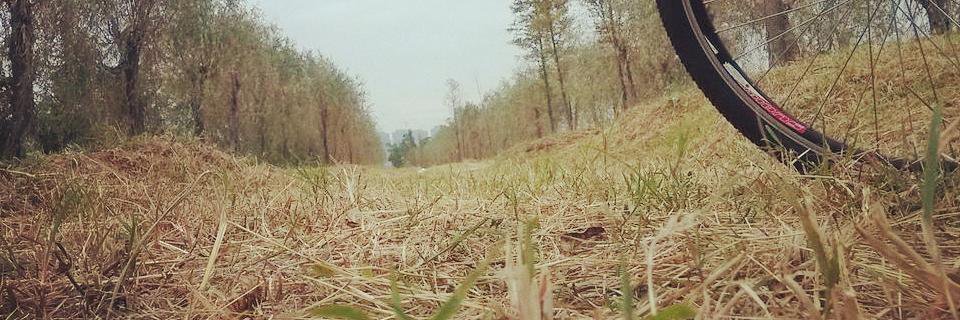 Leon_Li____'s profile banner image