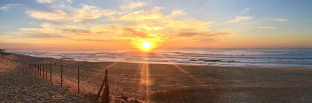 Mesplede M-Pierre banner