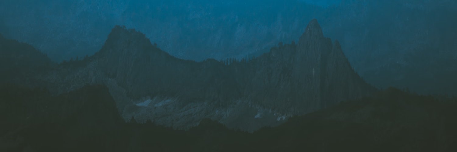 anntropius's profile banner image