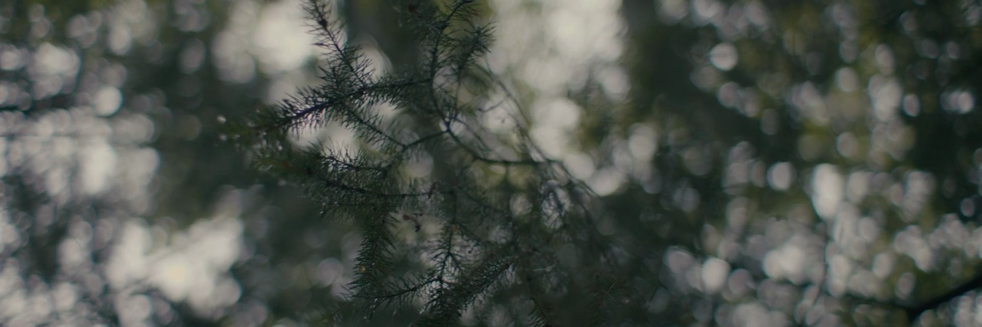 Decomi55ioned's profile banner image