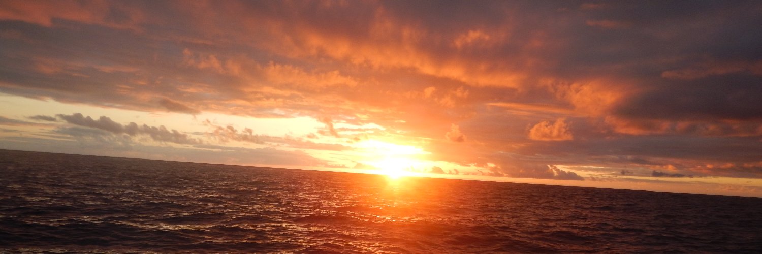 gomacentury's profile banner image