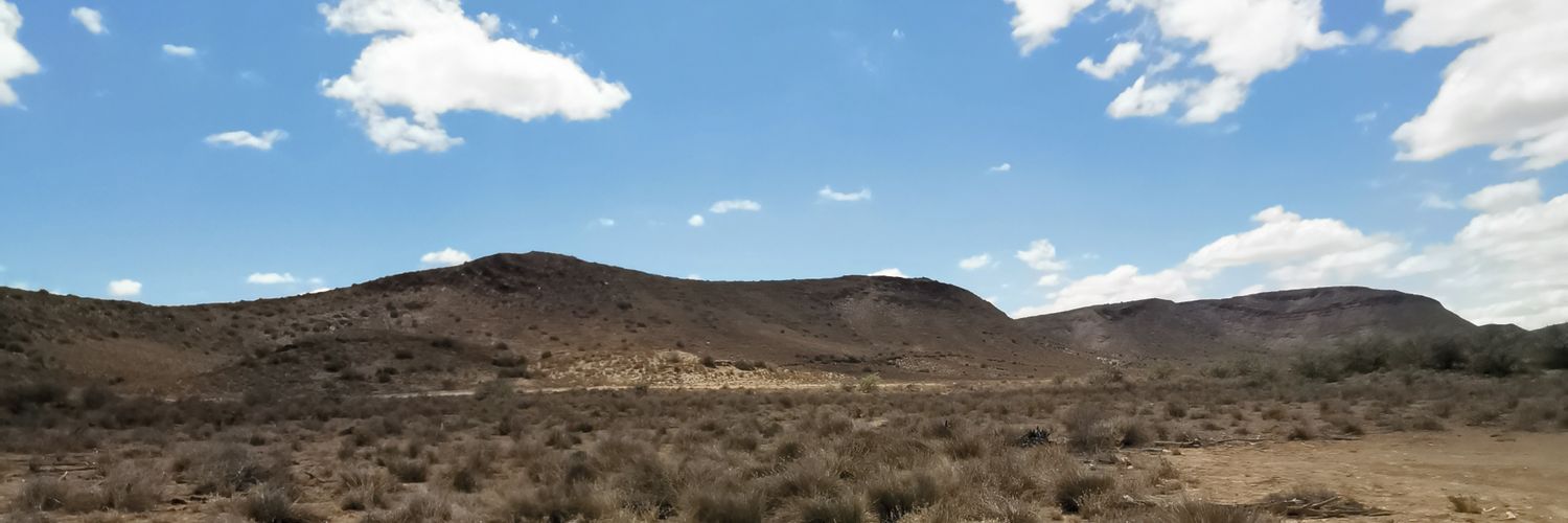 FredaScheffler's profile banner image