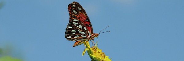 envpk_ Profile Banner