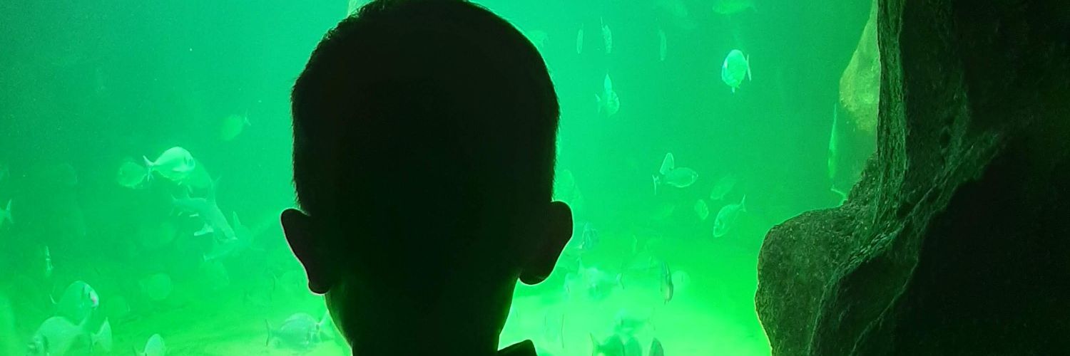 LauraComarca's profile banner image