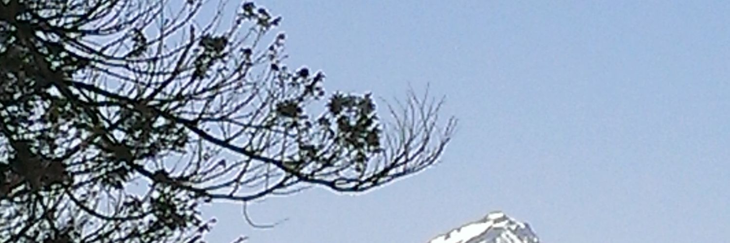 EnlightenCU's profile banner image