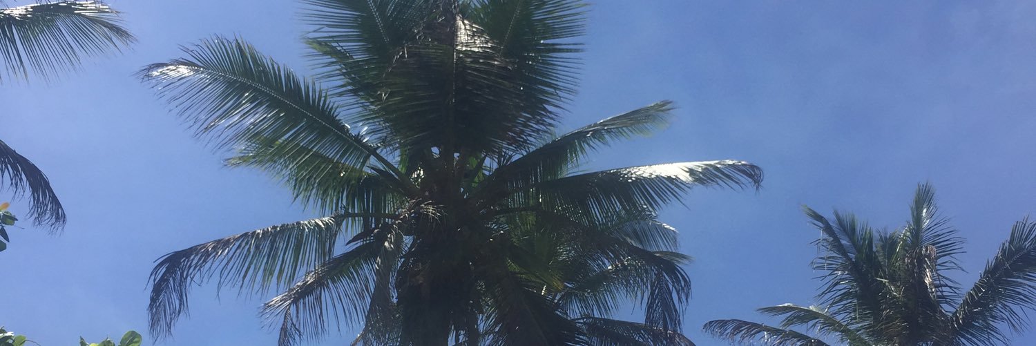 KateOrlowski1's profile banner image