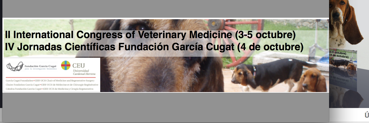 Vet Cong F.G. Cugat banner