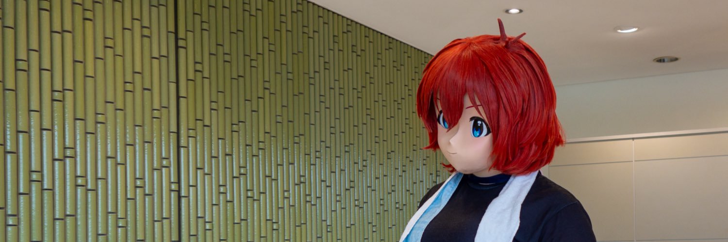 Pmodoki's profile banner image