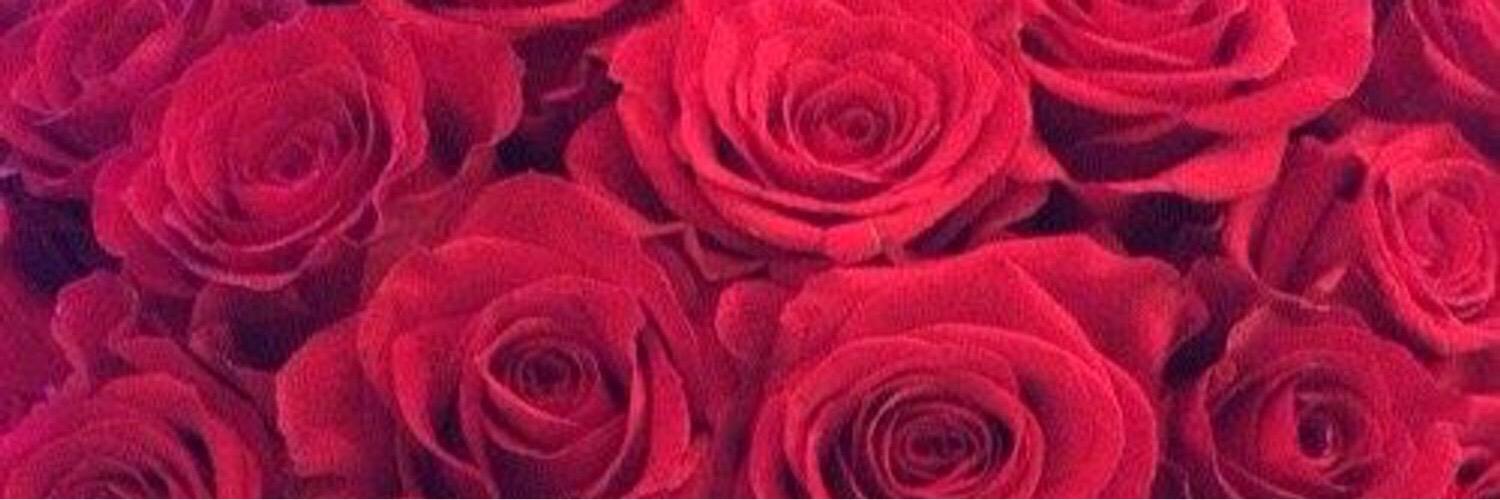 jetaimettoi's profile banner image