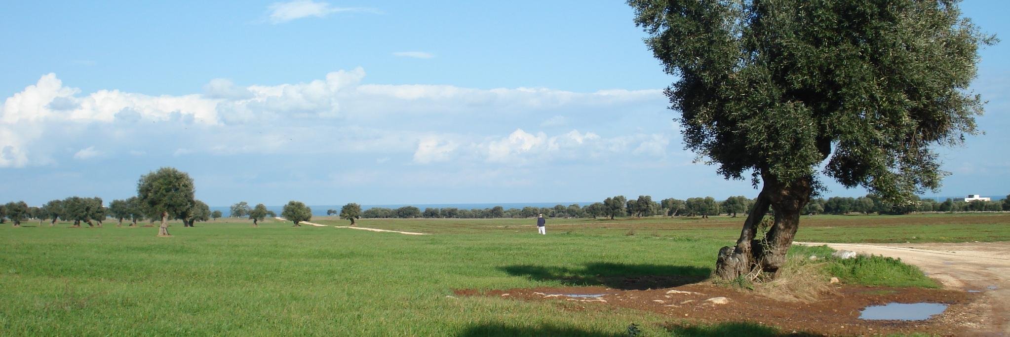 LiveyourPark's profile banner image