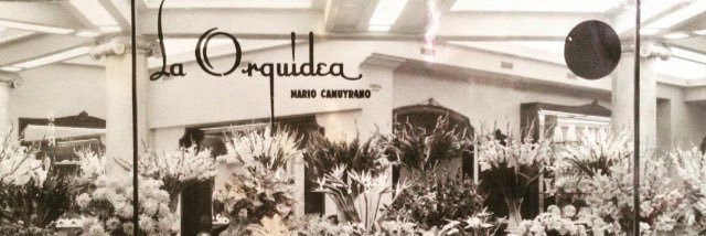 CCamuyrano's profile banner image