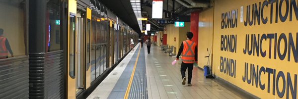 NicoleBadstuber Profile Banner