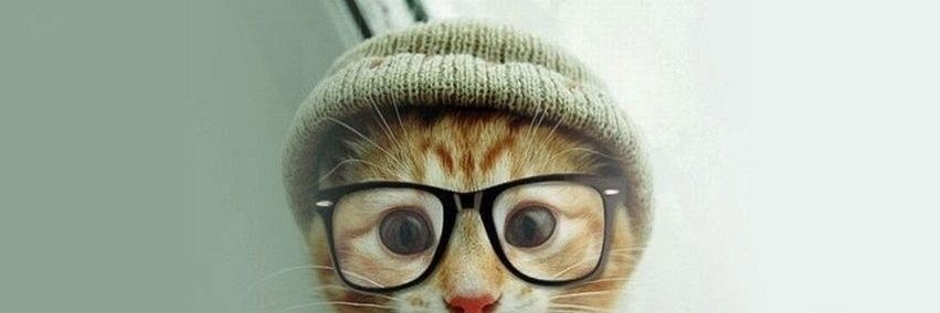 Cristian Aparicio-Maldonado banner