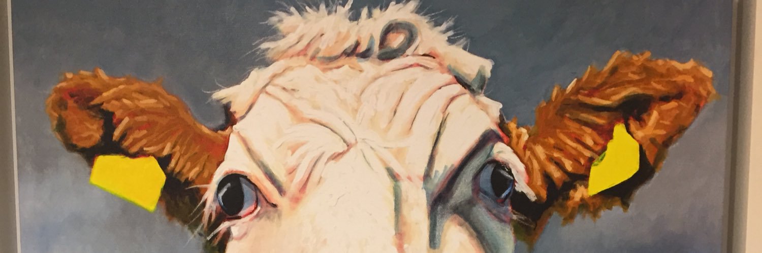 jtraynor2017's profile banner image