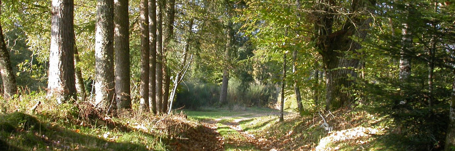 Fransylva en Limousin banner