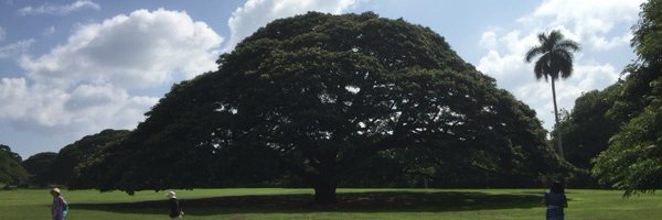 atsurouta Profile Banner