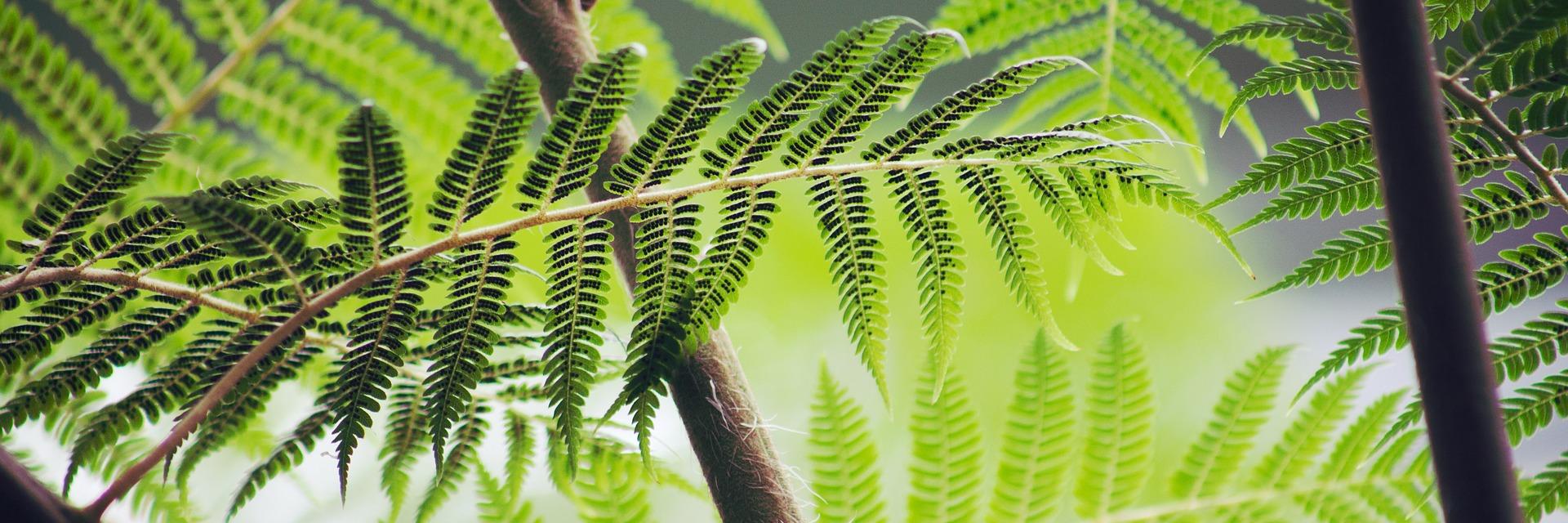 WeLikeAnimals's profile banner image
