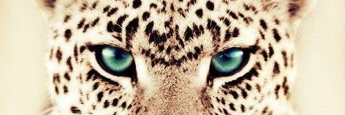 KatGkal's profile banner image