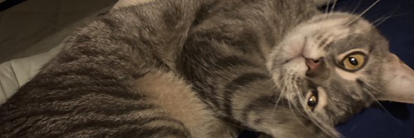 sar5473 Profile Banner