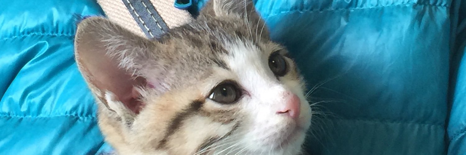 karotan8's profile banner image