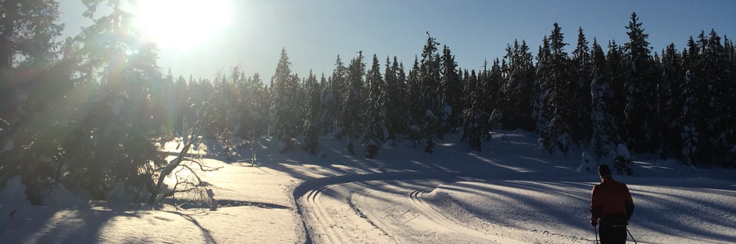 Henrik Evensen banner