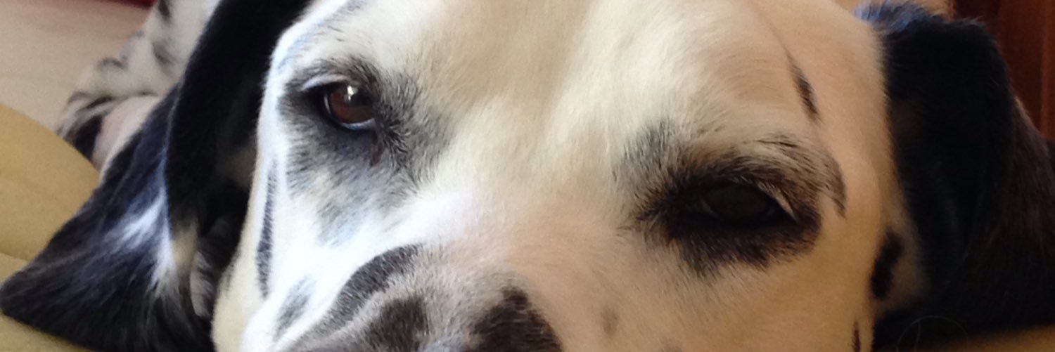 BruceWR_'s profile banner image