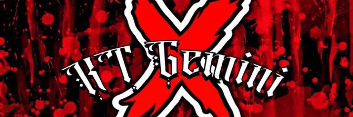 ❌ “The Artist” KT Gemini ❌ banner