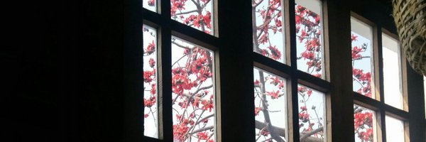 himanshidTOI Profile Banner