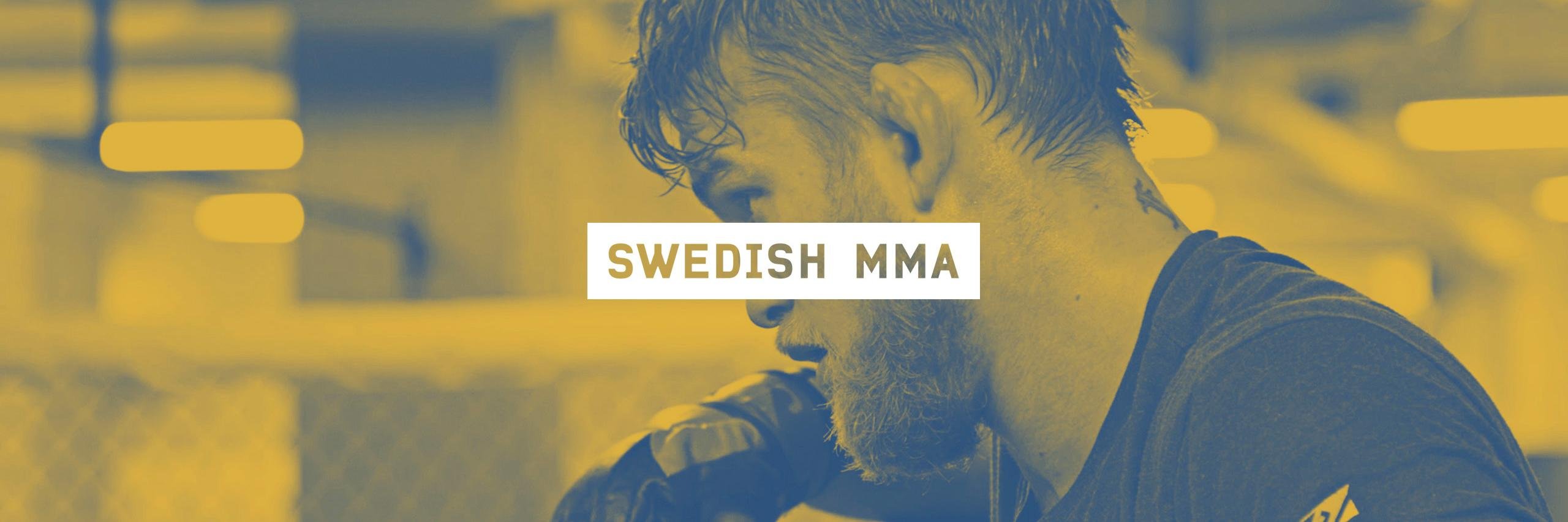 Swedish MMA banner