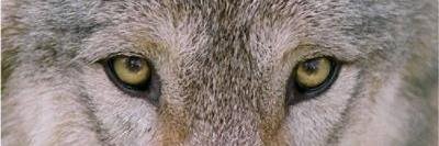 EdWeaverPR's profile banner image
